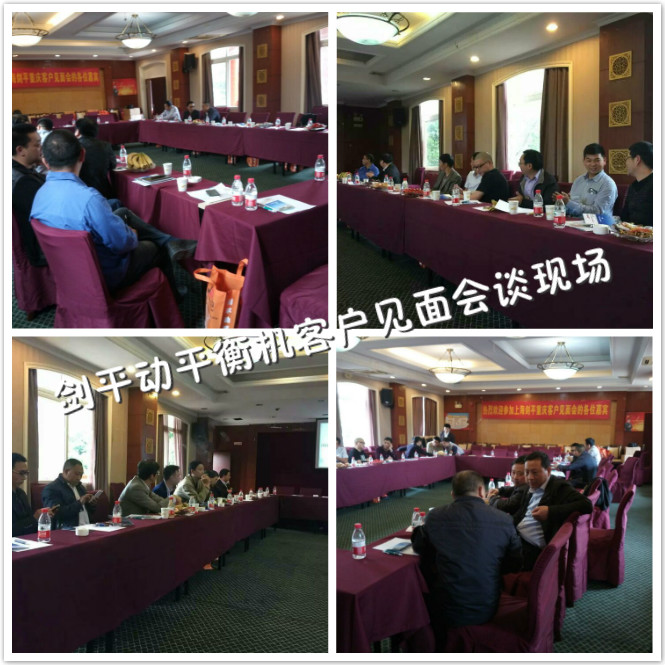剑平动平衡机会谈现场 剑平动平衡机会谈现场