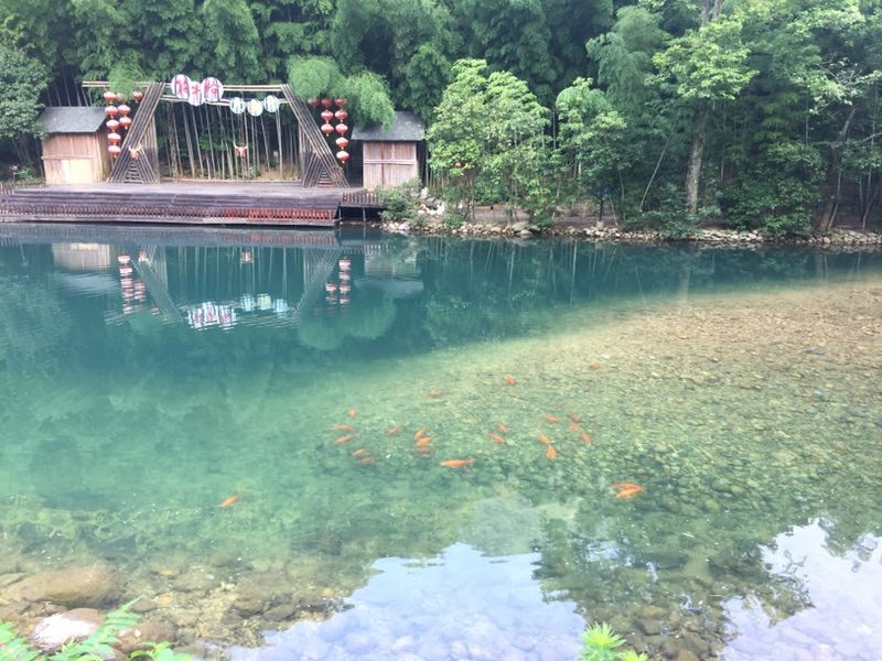 品味石台牯牛降 平衡技术剑平强-上海剑平动平衡机制造有限公司
