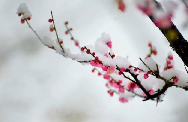 今日立冬 今日立冬