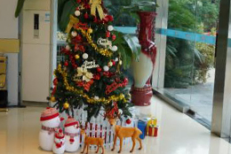 诞愿有你，一鹿相伴  Merry Christmas to you！