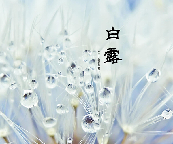 白露-上海剑平动平衡机制造有限公司