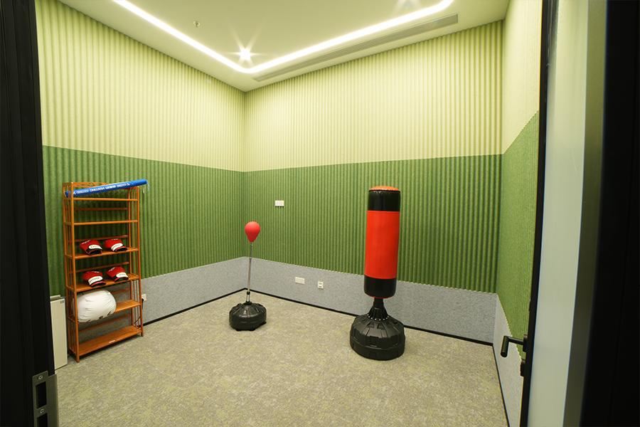 上海剑平发泄室